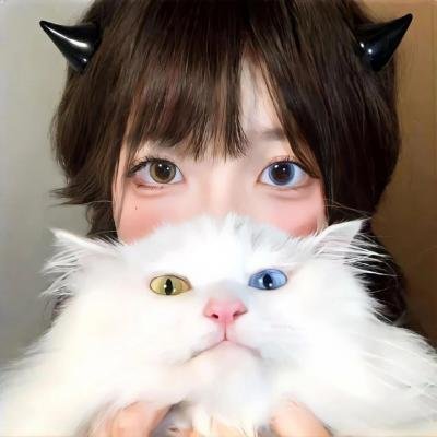 小马英豪